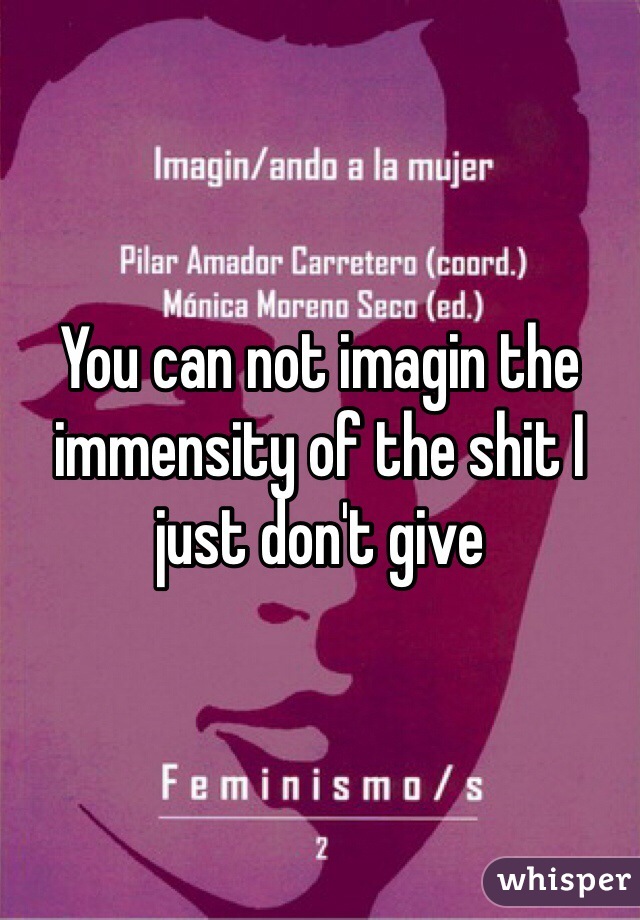 You can not imagin the immensity of the shit I just don't give 