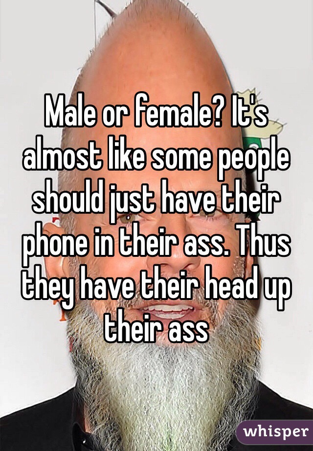Male or female? It's almost like some people should just have their phone in their ass. Thus they have their head up their ass