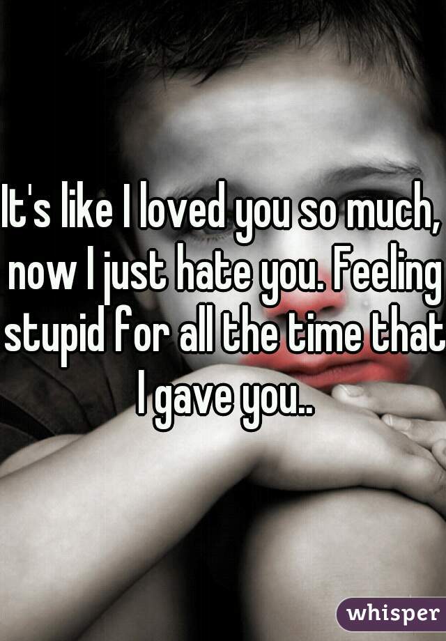It's like I loved you so much, now I just hate you. Feeling stupid for all the time that I gave you..