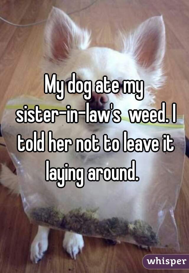 My dog ate my sister-in-law's  weed. I told her not to leave it laying around.  