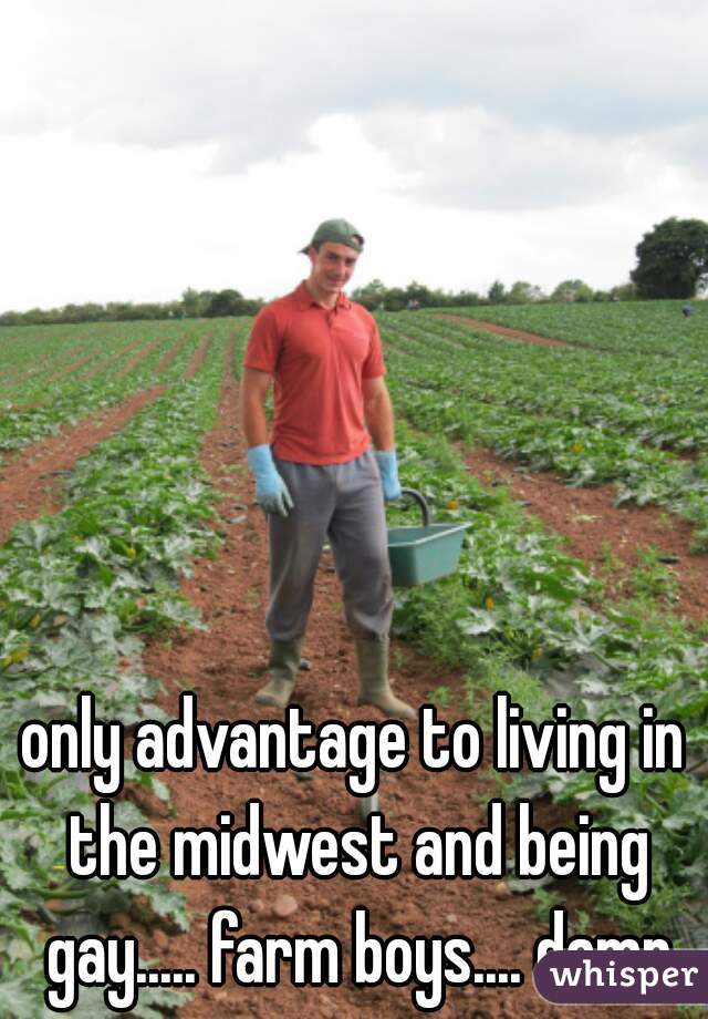 only advantage to living in the midwest and being gay..... farm boys.... damn