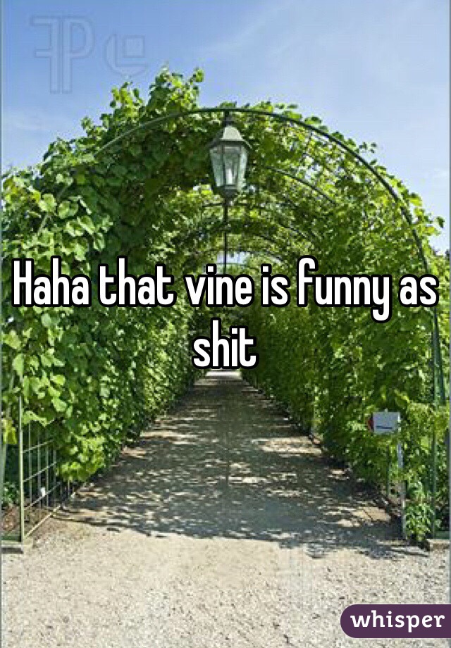 Haha that vine is funny as shit