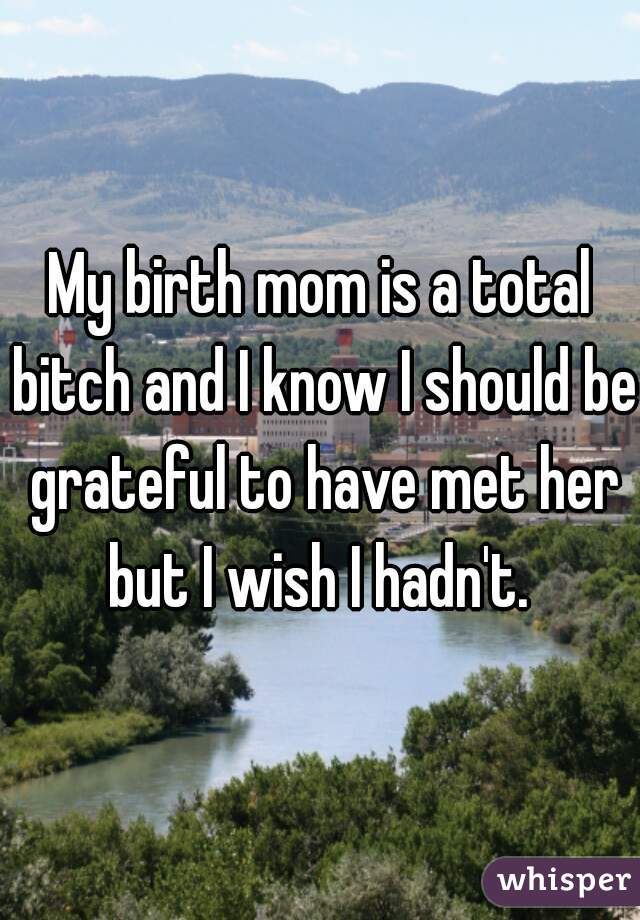 My birth mom is a total bitch and I know I should be grateful to have met her but I wish I hadn't. 