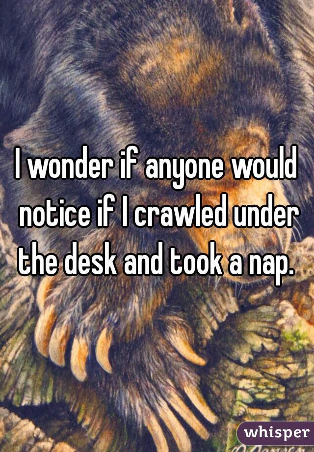 I wonder if anyone would notice if I crawled under the desk and took a nap. 