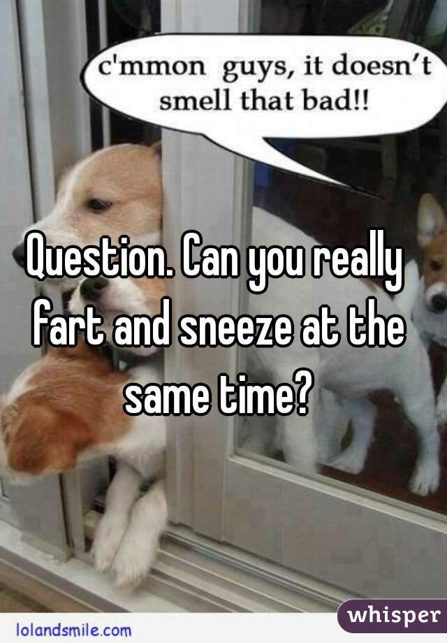 Question. Can you really fart and sneeze at the same time?