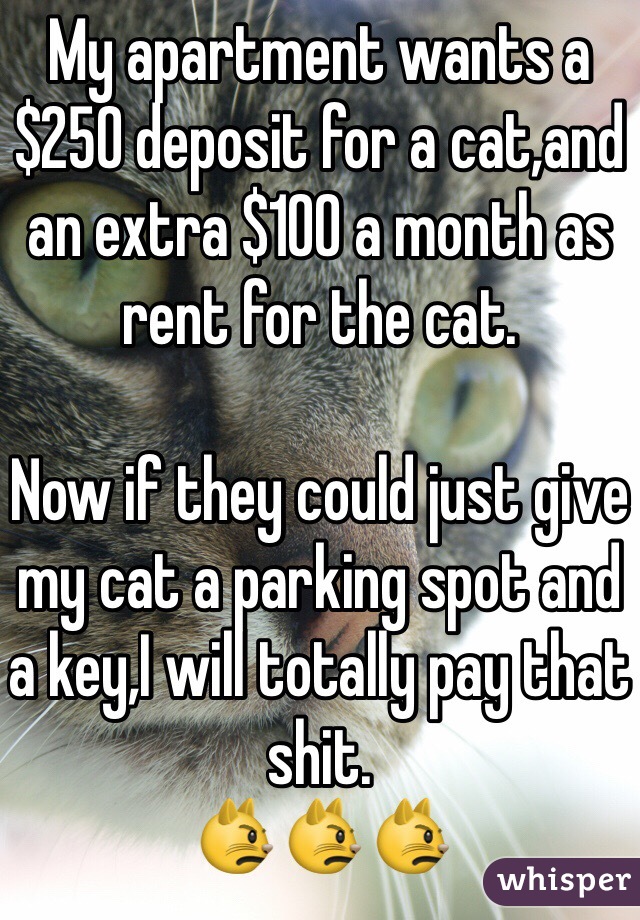 My apartment wants a $250 deposit for a cat,and an extra $100 a month as rent for the cat.

Now if they could just give my cat a parking spot and a key,I will totally pay that shit. 
😾😾😾