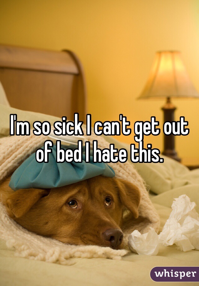 I'm so sick I can't get out of bed I hate this. 