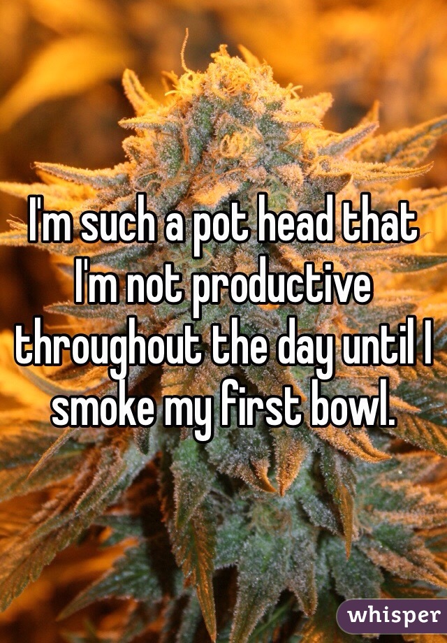 I'm such a pot head that I'm not productive throughout the day until I smoke my first bowl. 