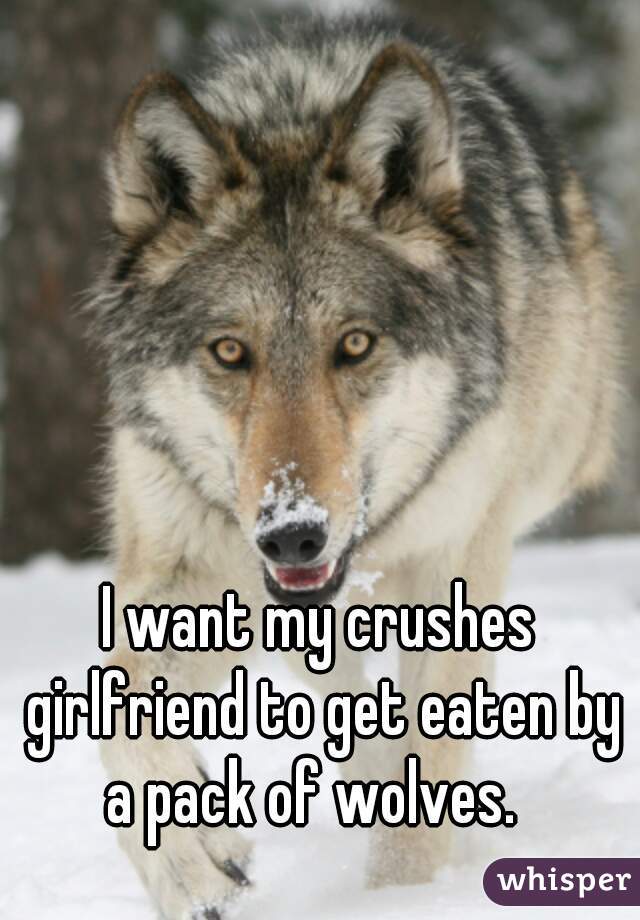 I want my crushes girlfriend to get eaten by a pack of wolves.  