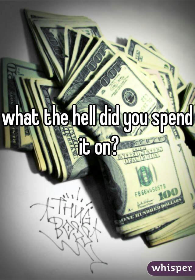what the hell did you spend it on?