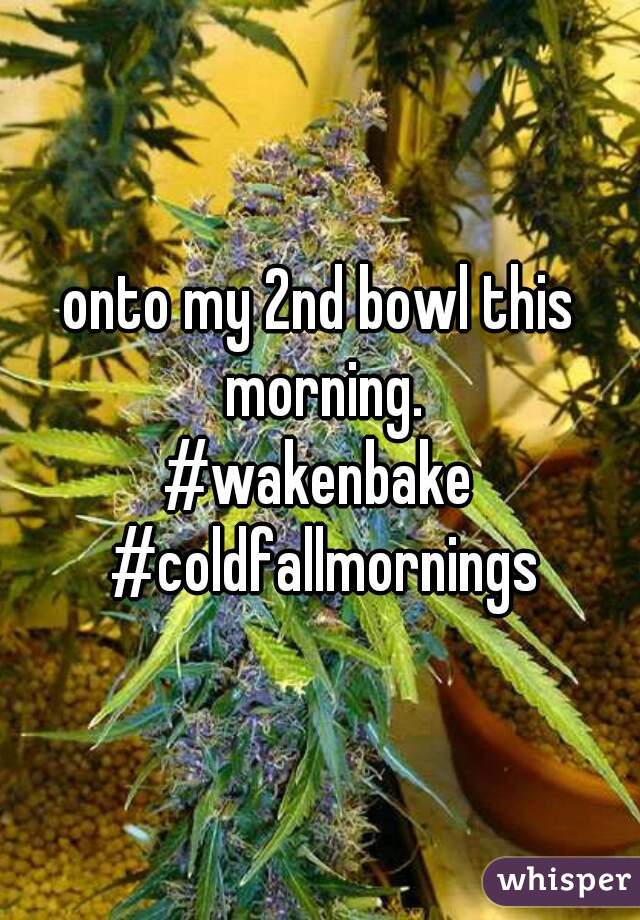 onto my 2nd bowl this morning.
#wakenbake #coldfallmornings