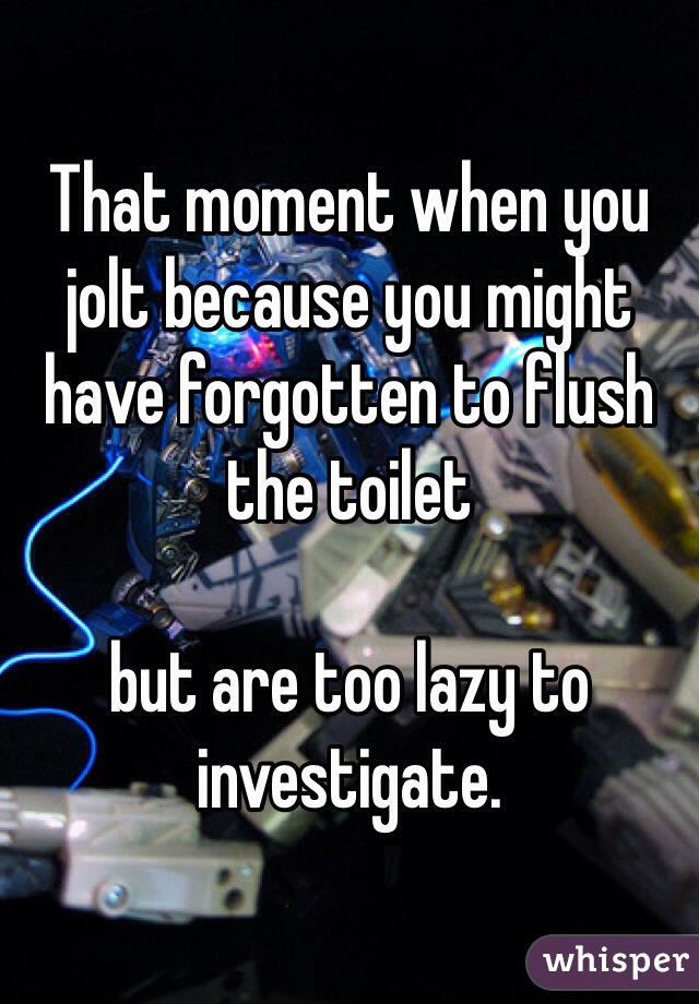 That moment when you jolt because you might have forgotten to flush the toilet 

but are too lazy to investigate. 