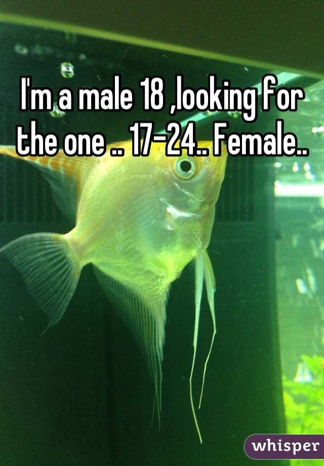 I'm a male 18 ,looking for the one .. 17-24.. Female..