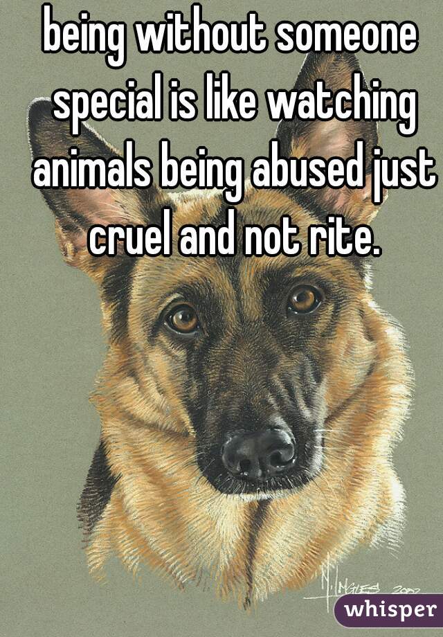 being without someone special is like watching animals being abused just cruel and not rite.