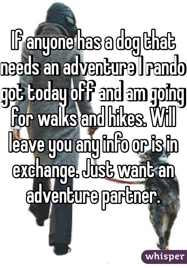 If anyone has a dog that needs an adventure I rando got today off and am going for walks and hikes. Will leave you any info or is in exchange. Just want an adventure partner.