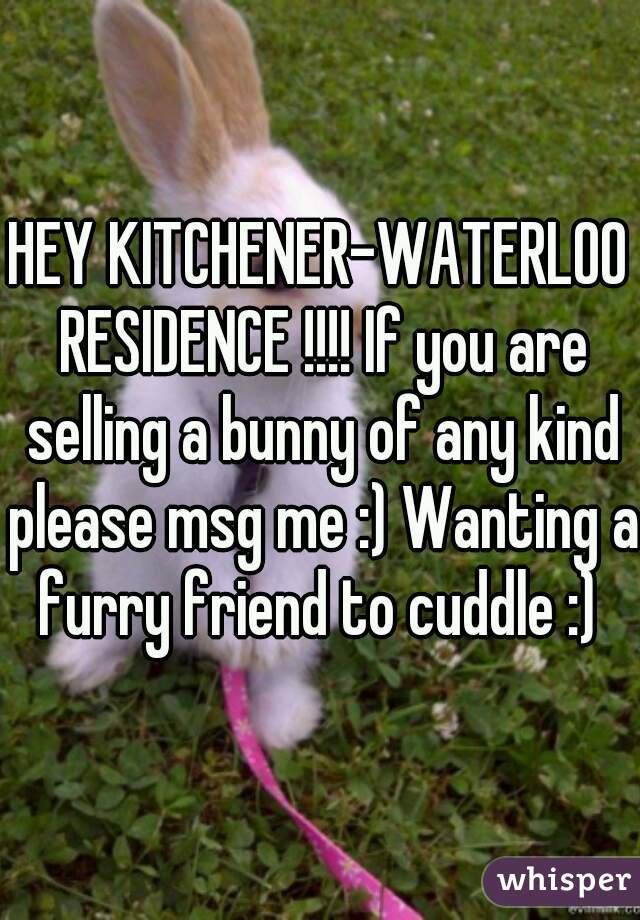 HEY KITCHENER-WATERLOO RESIDENCE !!!! If you are selling a bunny of any kind please msg me :) Wanting a furry friend to cuddle :) 