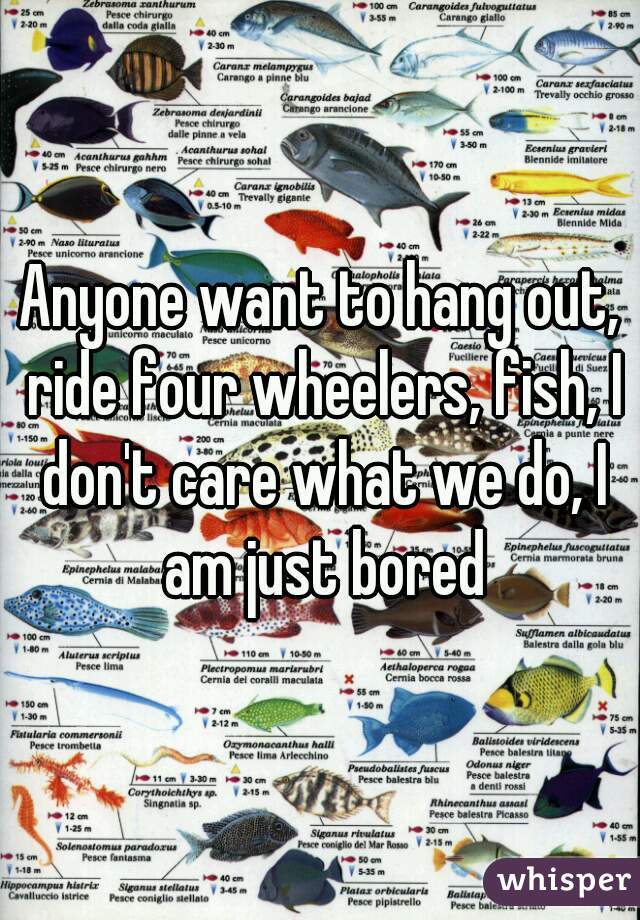 Anyone want to hang out, ride four wheelers, fish, I don't care what we do, I am just bored