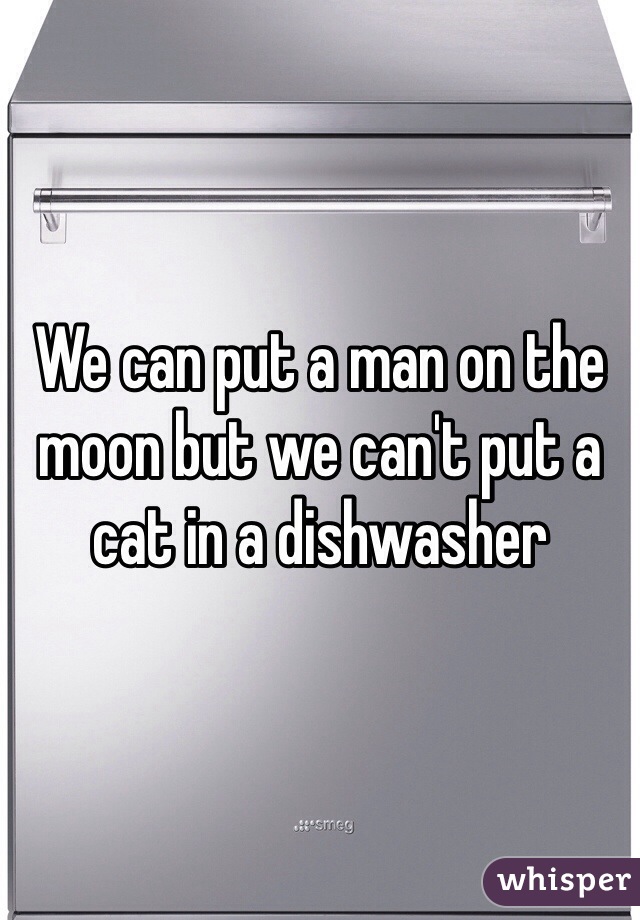 We can put a man on the moon but we can't put a cat in a dishwasher 