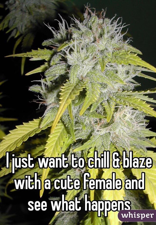 I just want to chill & blaze with a cute female and see what happens 