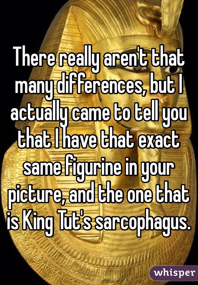 There really aren't that many differences, but I actually came to tell you that I have that exact same figurine in your picture, and the one that is King Tut's sarcophagus.