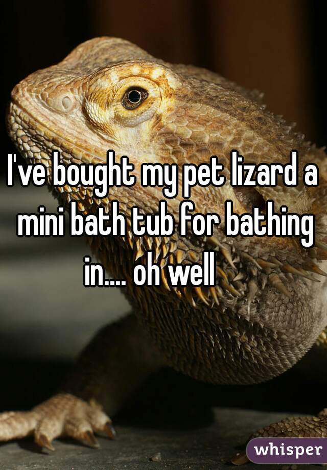 I've bought my pet lizard a mini bath tub for bathing in.... oh well     
