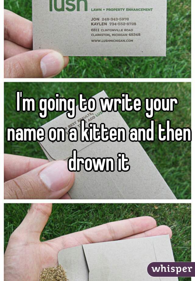 I'm going to write your name on a kitten and then drown it