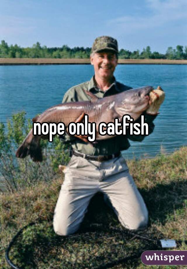 nope only catfish 