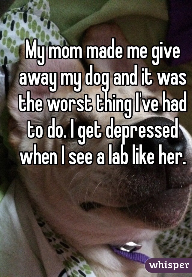 My mom made me give away my dog and it was the worst thing I've had to do. I get depressed when I see a lab like her. 