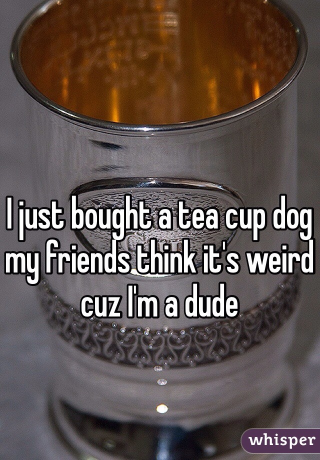 I just bought a tea cup dog my friends think it's weird cuz I'm a dude 