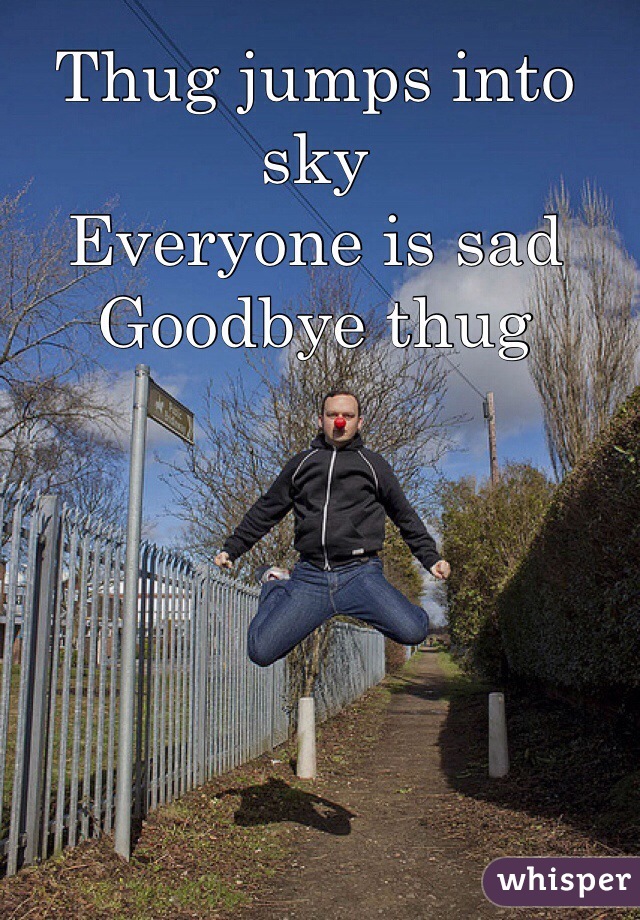 Thug jumps into sky
Everyone is sad
Goodbye thug
