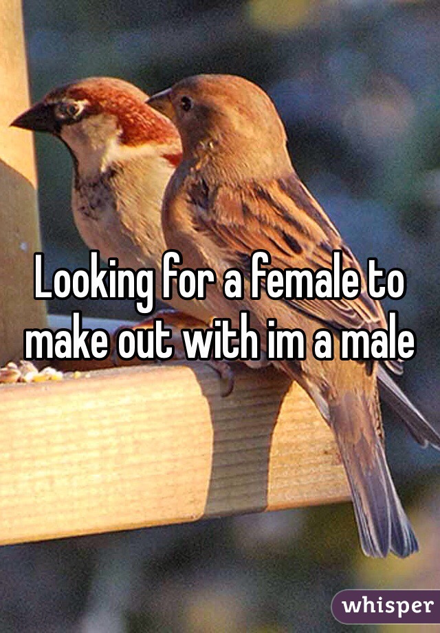 Looking for a female to make out with im a male