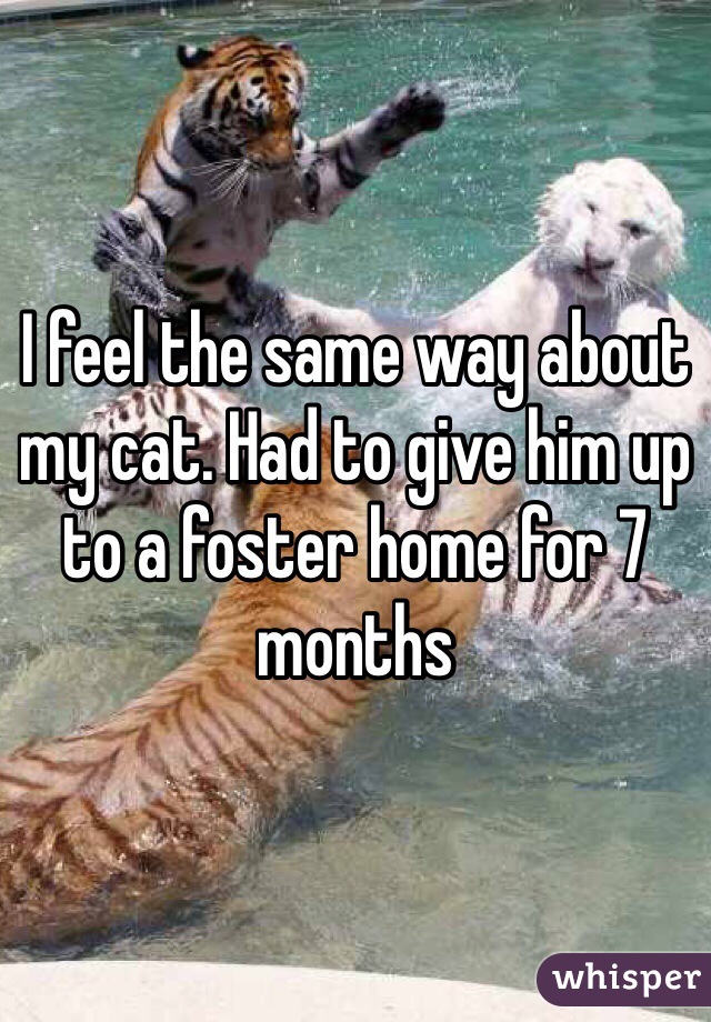 I feel the same way about my cat. Had to give him up to a foster home for 7 months 