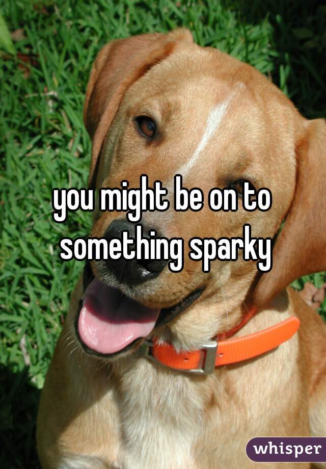 you might be on to something sparky