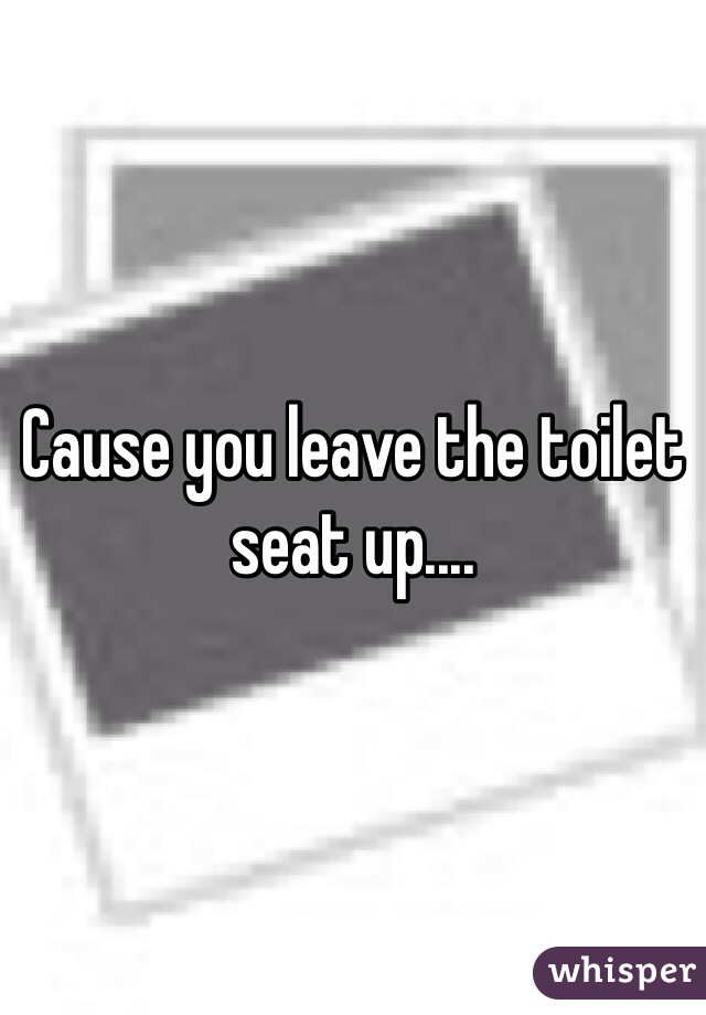 Cause you leave the toilet seat up....