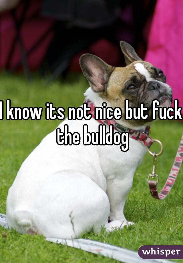 I know its not nice but fuck the bulldog