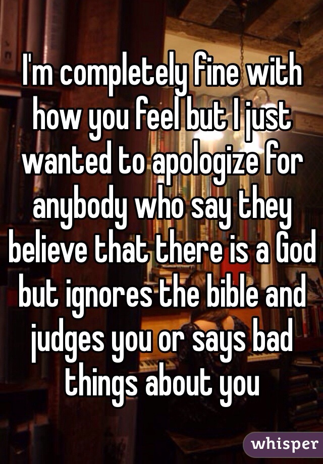 I'm completely fine with how you feel but I just wanted to apologize for anybody who say they believe that there is a God but ignores the bible and judges you or says bad things about you 