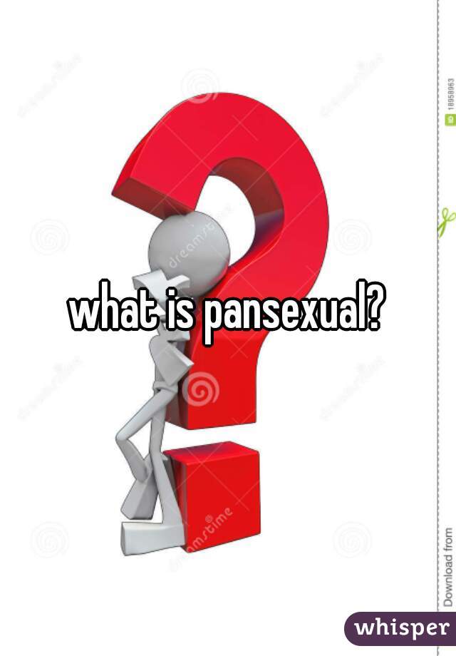 what is pansexual?