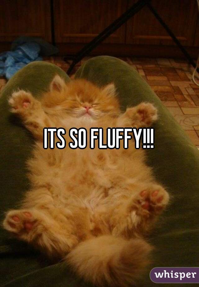 ITS SO FLUFFY!!!
