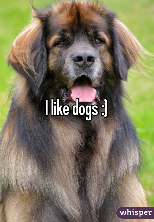 I like dogs :) 