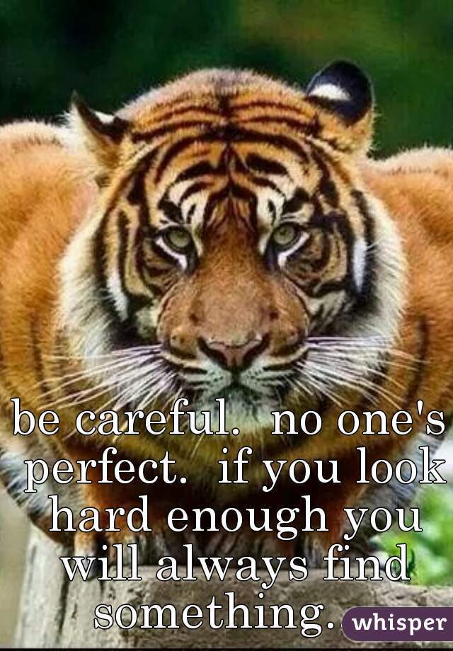 be careful.  no one's perfect.  if you look hard enough you will always find something... 