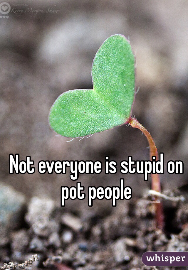 Not everyone is stupid on pot people