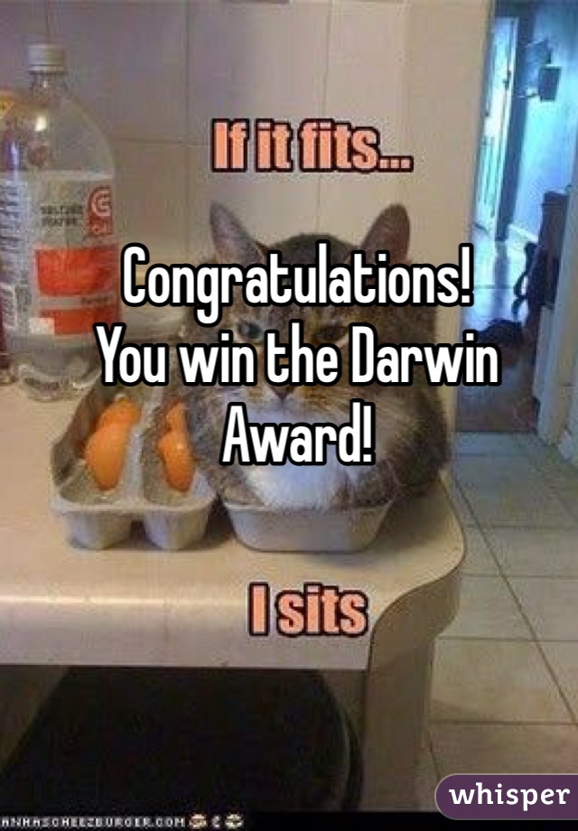 Congratulations!
You win the Darwin Award!