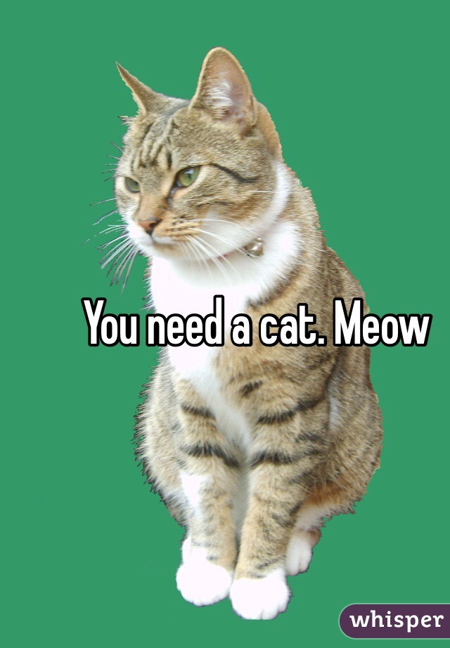 You need a cat. Meow