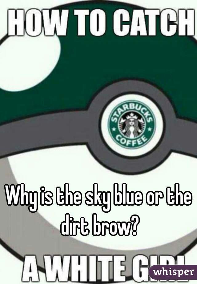 Why is the sky blue or the dirt brow?