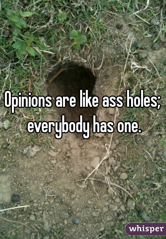 Opinions are like ass holes; everybody has one.