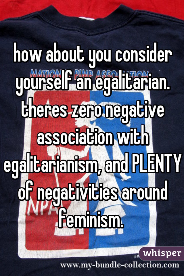 how about you consider yourself an egalitarian. theres zero negative association with egalitarianism, and PLENTY of negativities around feminism. 