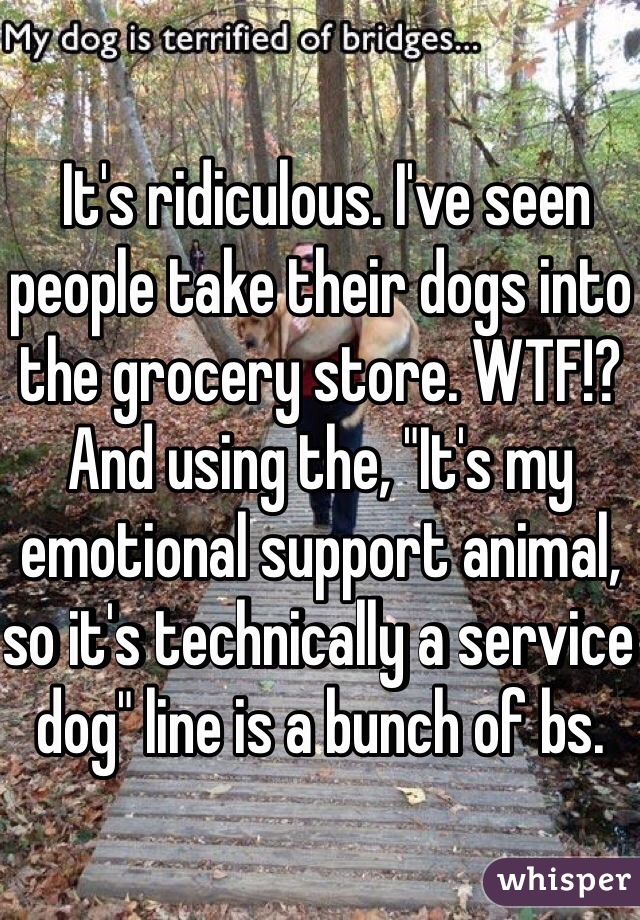  It's ridiculous. I've seen people take their dogs into the grocery store. WTF!? And using the, "It's my emotional support animal, so it's technically a service dog" line is a bunch of bs.
