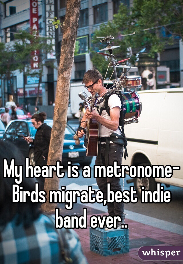 My heart is a metronome-
Birds migrate,best indie band ever..