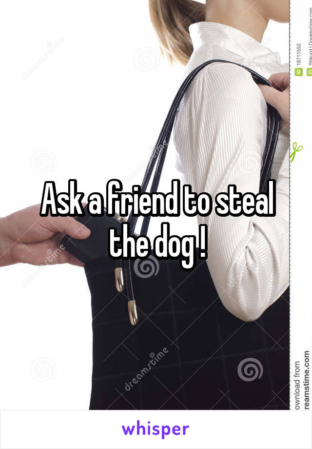 Ask a friend to steal the dog !