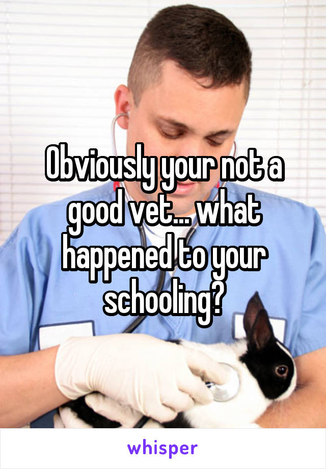Obviously your not a good vet... what happened to your schooling?